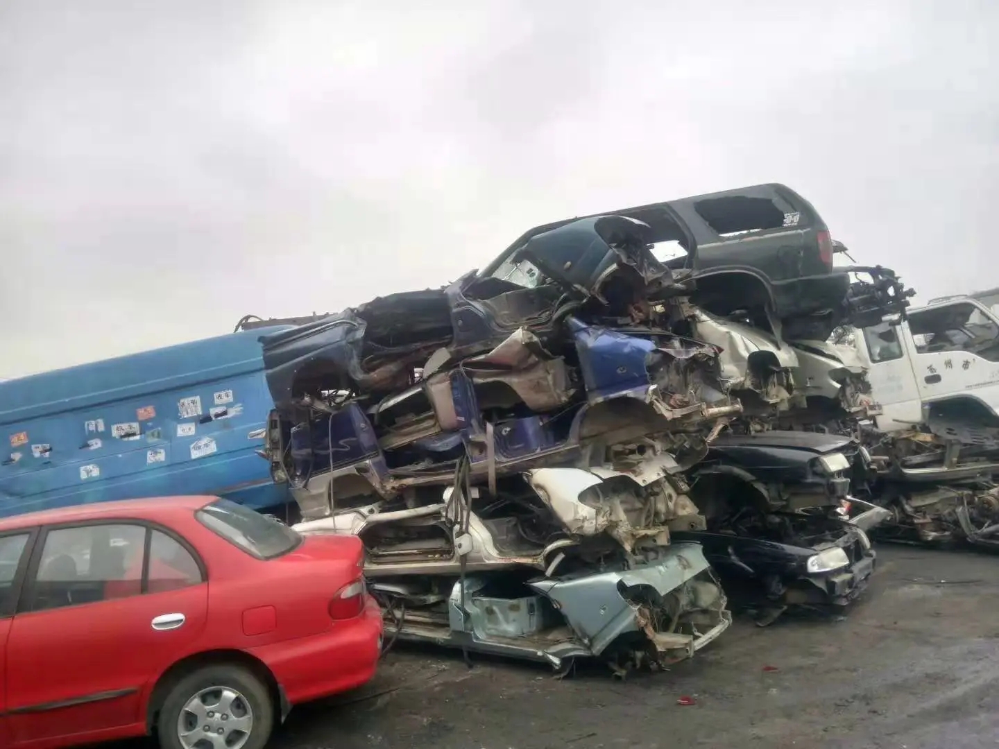 1678947796441823.jpg src=http___img.56390.cn_17184_2021_0405_20210405hhg1617589945.jpg&refer=http___img.56390.webp.jpg